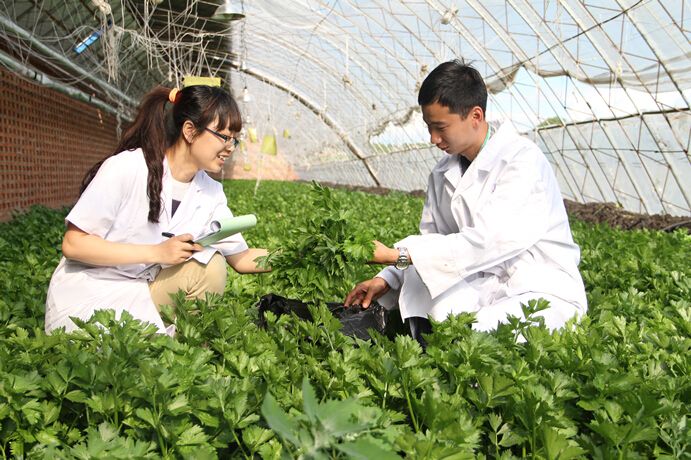 1569204363919956.jpg 檢驗.jpg